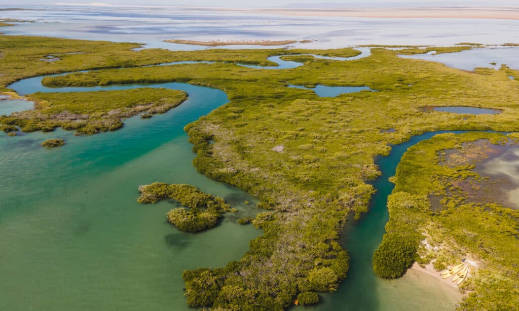 El Vizcaíno Biosphere Reserve, San Ignacio Lagoon