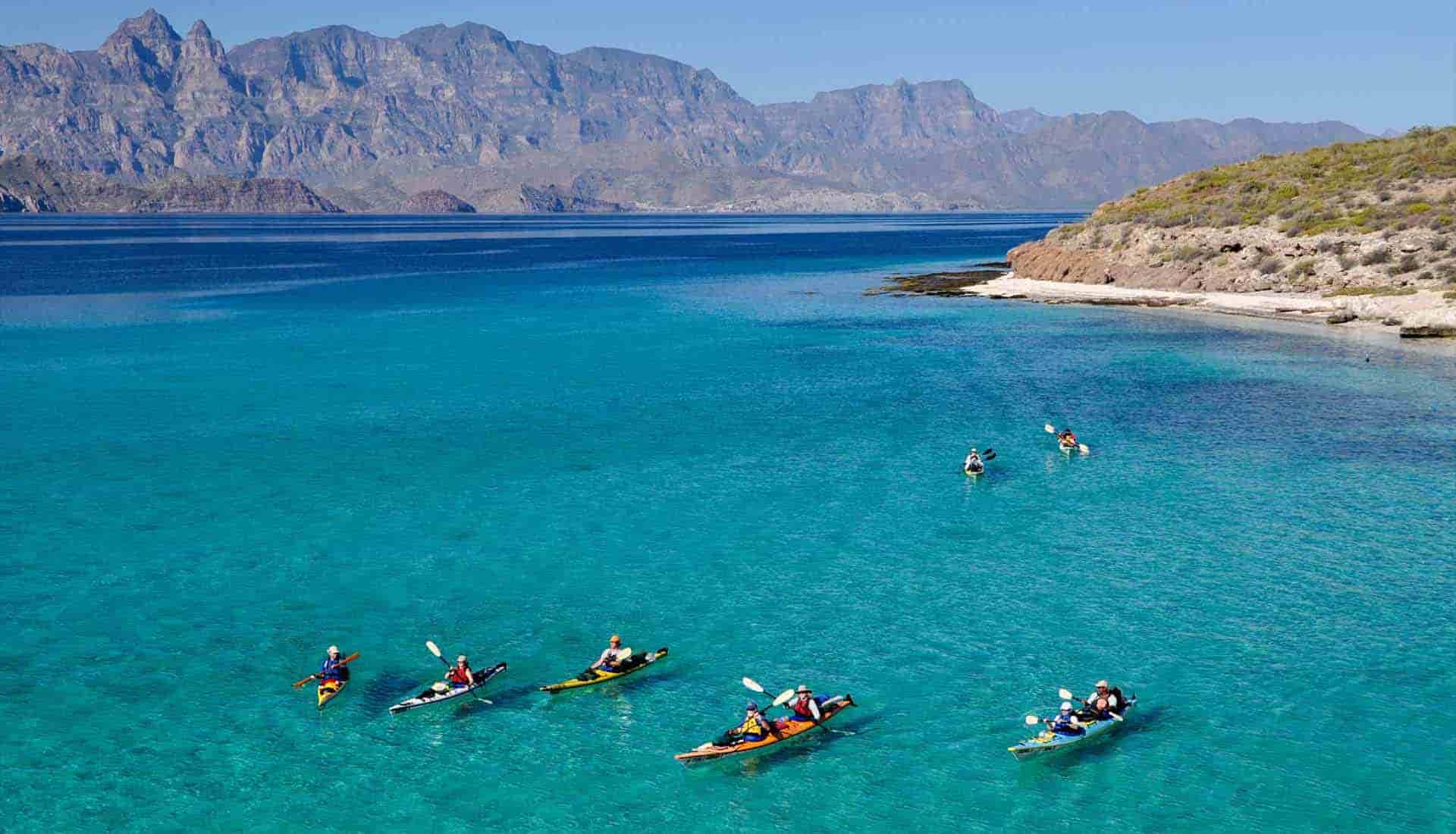 Kayaking - Whale Expedition