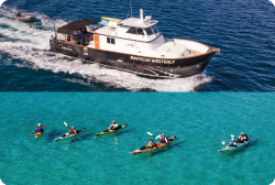 Sea of cortez Kayaking
