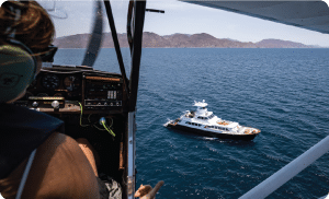 Socorro Island Liveboard adventure